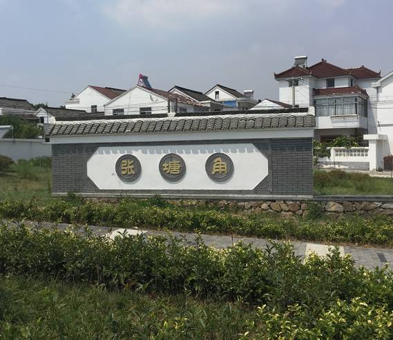 浪漫与科技交织 王家庄与张塘角的乡村振兴双生花